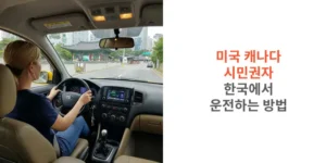 미국-캐나다-시민권자-한국에서-운전하는-방법-썸네일
