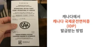 캐나다에서-캐나다-국제운전면허증-IDP-발급받는-방법