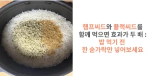 썸네일 햄프씨드와 플랙씨드를 함께 먹는 레시피