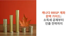 썸네일 캐나다 RRSP 계좌 완벽 가이드