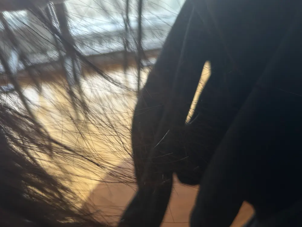 옷에 달라붙는 머리카락