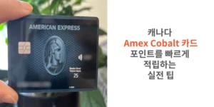 썸네일 캐나다 Amex Cobalt 카드 포인트를 빠르게 적립하는 실전 팁