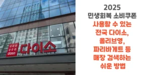 2025-민생회복-소비쿠폰-사용할-수-있는-전국-다이소-올리브영-파리바게트-등-매장-검색하는-방법-썸네일