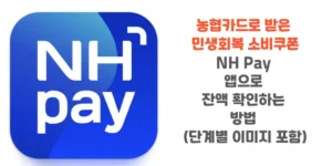 농협카드로-받은-민생회복-소비쿠폰-NH-Pay-앱으로-잔액-확인하는-방법-단계별-이미지-포함-썸네일
