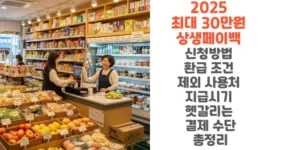2025-최대-30만원-상생페이백-신청방법-환급-조건-제외-사용처-지급시기-헷갈리는 -결제-수단까지-총정리-썸네일