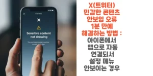 X(트위터)-민감한-콘텐츠-안보임-오류-1분-만에-해결하는 -방법-아이폰에서-앱으로-자동-연결되서-설정-메뉴-안보이는-경우-썸네일