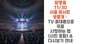 임영웅-11/30-서울-콘서트-생중계-TV-휴대폰으로-무료-시청하는-법-사진-포함-다시보기-안내-썸네일