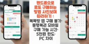 핸드폰으로-로또-구매하는-방법-사진보며-따라하기-복똑방 앱-구매-불가-동행복권-모바일-구매-가능-시간-5천원-한도-PC 차이-썸네일