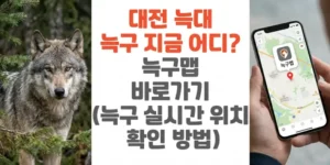 대전-늑대-늑구-지금-어디-늑구맵-바로가기-늑구-실시간-위치-확인-방법-썸네일